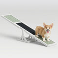 Load image into Gallery viewer, Pupstacle 71" Wooden Dog Agility Seesaw with Anti-Slip Surface White