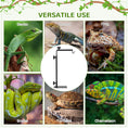 Load image into Gallery viewer, Reptile Lamp Stand, Adjustable Height and Width Heat Lamp for Reptile Amphibian Terrariums, Light Stand with Hook Hanging Steel Base - Black