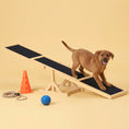 Load image into Gallery viewer, Pupstacle 71" Wooden Dog Agility Seesaw with Anti-Slip Surface Yellow
