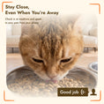 Load image into Gallery viewer, 6L Smart Cat Feeder with HD Camera for 2 Cats Dual-band WiFi & App Timed Feeding
