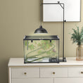 Load image into Gallery viewer, Reptile Lamp Stand, Adjustable Height and Width Heat Lamp for Reptile Amphibian Terrariums, Light Stand with Hook Hanging Steel Base, 86-129Hcm, 42-50Wcm - Black