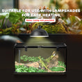 Load image into Gallery viewer, Glass Reptile Terrarium, Jumping Spider Enclosure with Thermometer, Water Basin, Full View Visually for Lizards, Horned Frogs, Snakes, Spiders - Black