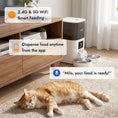 Load image into Gallery viewer, 6L Smart Cat Feeder with HD Camera for 2 Cats Dual-band WiFi & App Timed Feeding