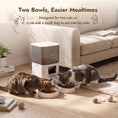 Load image into Gallery viewer, 6L Automatic Cat Feeder with App Control Timed 1-10 Meals & 10s Voice Recorder