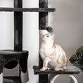 Load image into Gallery viewer, Floor to Ceiling Cat Tree, 240-260cm Adjustable Height Kitten Tower with Scratching Posts, Cat Houses, Ramps, Hammocks, Toy Balls, Tunnel for Indoor Use - White