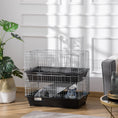 Load image into Gallery viewer, PawHut 2-Tier Guinea Pig Cage, Ferret Cage, Chinchilla Cage, Small Animal Cage Indoor with Dish and Bottle, 2 Doors, Deep Bottoms, Ramp, 28", Black