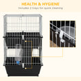 Load image into Gallery viewer, PawHut 2-Tier Guinea Pig Cage, Ferret Cage, Chinchilla Cage, Small Animal Cage Indoor with Dish and Bottle, 2 Doors, Deep Bottoms, Ramp, 28", Black