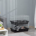 Load image into Gallery viewer, PawHut 2-Tier Guinea Pig Cage, Ferret Cage, Chinchilla Cage, Small Animal Cage Indoor with Dish and Bottle, 2 Doors, Deep Bottoms, Ramp, 28", Black