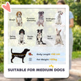 Load image into Gallery viewer, Dog Stroller, Pet Stroller for Small and Medium Dogs, Foldable Puppy Pram Pet Pushchair with 2 Big Wheels, Shock-Absorbing Frame, Seat Leashes, Brakes, Maximum Load 20 kg, Grey