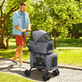 Load image into Gallery viewer, 3-in-1 Double Pet Stroller for Small Miniature Dogs Cats with Removable Carrier, Foldable Travel Carrier Bag, Car Seat, Grey