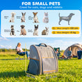 Load image into Gallery viewer, Cat Backpack Carrier, Foldable Pet Carrier for Mini Dogs and Cats Up to 5 kg, Pet Travel Bag with Mesh Window, Side Pocket for Travel and Outdoor Activities, Grey