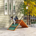 Load image into Gallery viewer, Dog Agility Equipment, Dog Playground Equipment with Non-slip Surface, A-frame, Agility Ramp for All Breeds, for Garden, Park, Puppy Obstacle Course, Orange