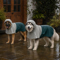 Load image into Gallery viewer, Dog Raincoat with Hood, Waterproof & Breathable Rain Jacket with Reflective Strips and Leash Hole, Adjustable Poncho for Extra Large Dogs, 30-40 KG Available, Green, XL