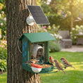 Load image into Gallery viewer, Bird Feeder with Camera, Smart Bird Feeder Camera AI Identifies 16,000+ Species, 2K HD Auto Capture Video, APP Instant Notifications, Hummingbird Feeding Add-ons, 3W Solar Panel, 32GB Card