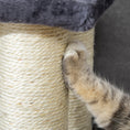 Load image into Gallery viewer, Dog Steps for Bed 4 Step Pet Stairs for Dog Cat ladder Scratch Post Grey