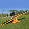Load image into Gallery viewer, Wooden Pet Seesaw for Big Dogs, Agility Training Equipment for Dogs with Anti-Slip surface, 180 x 30 x 30cm - Natural