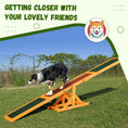Load image into Gallery viewer, PawHut Wooden Dog Agility Seesaw for Training and Exercise, Platform Equipment Run Game Toy, Weather Resistant Pet Supplies, 71" L x 12" W x 12" H, Natural