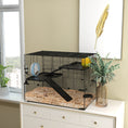 Load image into Gallery viewer, Hamster Cage, Gerbil Cage with Glass Basin, Ramps, Platforms, Hut, Exercise Wheel, Water Bottle, Dish, for Syrian and Dwarf Hamsters, 31" x 19" x 21.5"