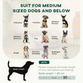 Load image into Gallery viewer, Dog Sofa Pet Couch Dog Bed with Soft Cushion, Removable Washable Cover, Velvet Touch, for Small to Medium Sized Dogs, Grey