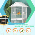 Load image into Gallery viewer, PawHut Wrought Metal Bird Cage Feeder with Rolling Stand Perches Food Containers Doors Wheels 67" H, White