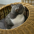 Load image into Gallery viewer, PawHut Rattan Cat Bed, Wicker Cat House Basket with Washable Cushion for Small Indoor Cats and Dogs, Light Brown