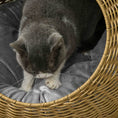 Load image into Gallery viewer, PawHut Rattan Cat Bed, Wicker Cat House Basket with Washable Cushion for Small Indoor Cats and Dogs, Light Brown