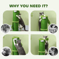 Load image into Gallery viewer, Cat Scratching Post for Indoor Cats, 63cm Tall Cat Scratcher Post with Sisal Rope Cover, Large Base, Green