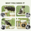 Load image into Gallery viewer, PawHut 31" Cat Tree, Cat Tower for Indoor Cats with Sisal Scratching Posts, Cat Condo, Cat Beds, Platform and Toy Ball, Cat Activity Center, Cream White