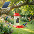 Load image into Gallery viewer, Hummingbird Water Feeder with Camera, AI Identify 16000+ Birds, 2K HD Live Video, 3W Solar, Bird Feeder Camera with Arrival Alerts, Capture Live Video, Gift for Enthusiast
