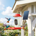 Load image into Gallery viewer, Hummingbird Water Feeder with Camera, AI Identify 16000+ Birds, 2K HD Live Video, 3W Solar, Bird Feeder Camera with Arrival Alerts, Capture Live Video, Gift for Enthusiast