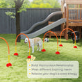 Load image into Gallery viewer, 4 Piece Dog Agility Training Equipment with 4 Adjustable Width Doors, Carry Bag, Easy to Assemble, Dog Obstacle Course for Garden, Orange