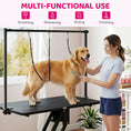 Charger l'image dans la visionneuse de la galerie, 43" L Hydraulic Dog Grooming Table, Z-Lift Height Adjustable Pet Grooming Table with Noose and Non-Slip Tabletop for Medium Large Dogs, Black