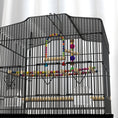 Load image into Gallery viewer, 36" Bird Cage for Finches, Canaries Budgies, Parrot Cage with Accessories, Handle, Mesh Cover, Tray, Black