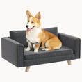 Load image into Gallery viewer, Modern Elevated Pet Sofa with Seat and Back Cushions, for Small and Medium Dogs, Gray