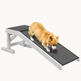 Load image into Gallery viewer, 49"x16"x14" Dog Ramp for Bed with Non-Slip Carpet & Top Platform, White