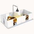 Load image into Gallery viewer, Whelping Box with Retractable Light Stand & Adjustable Door, for S to M Breed Dogs or Pets