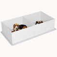 Load image into Gallery viewer, Dog Whelping Box with Washable Pee Pad for Medium and Small Dogs, 77" x 38" x 19", White