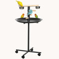 Load image into Gallery viewer, Mobile Parrot Play Stand with Mess-Free Tray & Wood Perches Grey