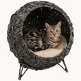 Load image into Gallery viewer, Elevated Handwoven Rattan Cat Bed with Soft Cushion and Metal Base Gray