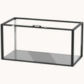 Load image into Gallery viewer, Large Acrylic Hamster Cage with Openable Top for Small Animals, Black