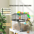 Load image into Gallery viewer, Hamster Cage, 2 Tier Gerbil Cage with 31cm Deep Tray, Tube System, Water Bottle, Ramp, Feeding Bowl, 58 x 43 x 57cm, Multicoloured