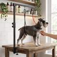 Charger l'image dans la visionneuse de la galerie, Dog Grooming Arm with Clamp, Adjustable Foldable Dog Grooming with 2 Loop Noose for Small and Medium Breeds, 18.9" -32.3", Black