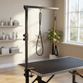 Charger l'image dans la visionneuse de la galerie, Dog Grooming Arm with Clamp, Adjustable Foldable Dog Grooming with 2 Loop Noose for Small and Medium Breeds, 18.9" -32.3", Black