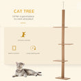 Load image into Gallery viewer, PawHut Floor-to-Ceiling Cat Tree Cat Climbing Tower with Sisal-Covered Scratching Posts Natural Cat Tree Activity Center for Kittens Cat Tower Furniture, Brown