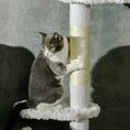 Load image into Gallery viewer, PawHut Floor to Ceiling Cat Tree with Scratching Posts, 88.5"-100.5" Adjustable Height, Cat Climbing Tower with Cloud Shape Platforms, Toy Balls, Anti-toppling Device, White