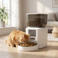 Load image into Gallery viewer, Automatic Cat Feeder with Camera, 2.4G WiFi, Smart APP Control 4L Pet Feeder 1-10 Meals with 2-Way Audio, Night Vision, Anti-Clogging, 10s Meal Call Back, Dual Power Supply, Detachable Clean