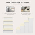 Load image into Gallery viewer, Pet Stairs Dog Steps for High Bed, 4 Levels Dog Stairs for Car, Wooden Cat Ladder with Non-Slip Carpet, 15.7" L x 23.2" W x 21.3" H, White