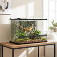 Load image into Gallery viewer, Reptile Glass Terrarium, Reptile Vivarium with Tree Bark Background, Front Ventilation, Escape-Proof Knob Lock, Glass Enclosure for Lizards, Horned Frogs, Snakes, 50 x 30 x 35 cm, Black