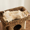 Charger l'image dans la visionneuse de la galerie, Cat Tree, Small Cat Tower with Perch, Scratching Post, Pet Condo, Toy Ball for Kitty, Indoor Use, Leopard Print
