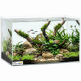 Load image into Gallery viewer, 24L Fish Tank, Glass Aquarium, Small Fish Tank with Protective Base Mat, for Shrimps, Turtles, Transparent, 40 x 25 x 25 cm